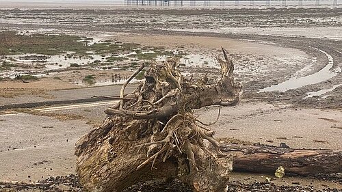 The Leisure Beach (Southport)